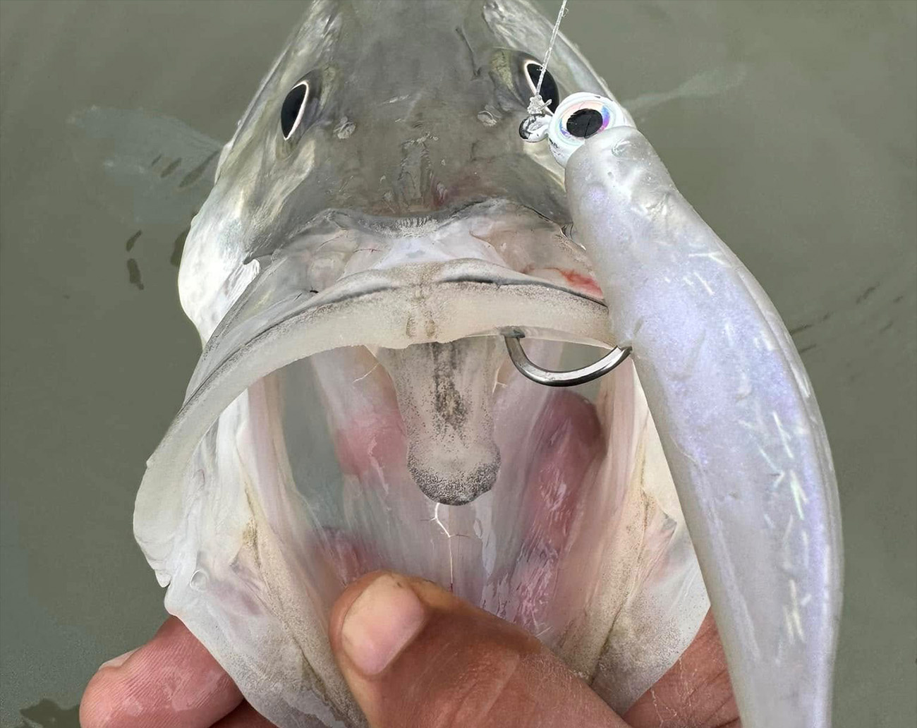 Z-Man StreakZ 9,3 cm